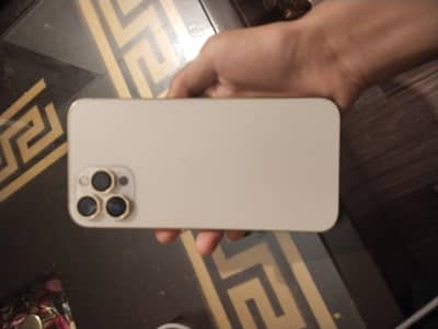 Apple iPhone 12 Pro Max