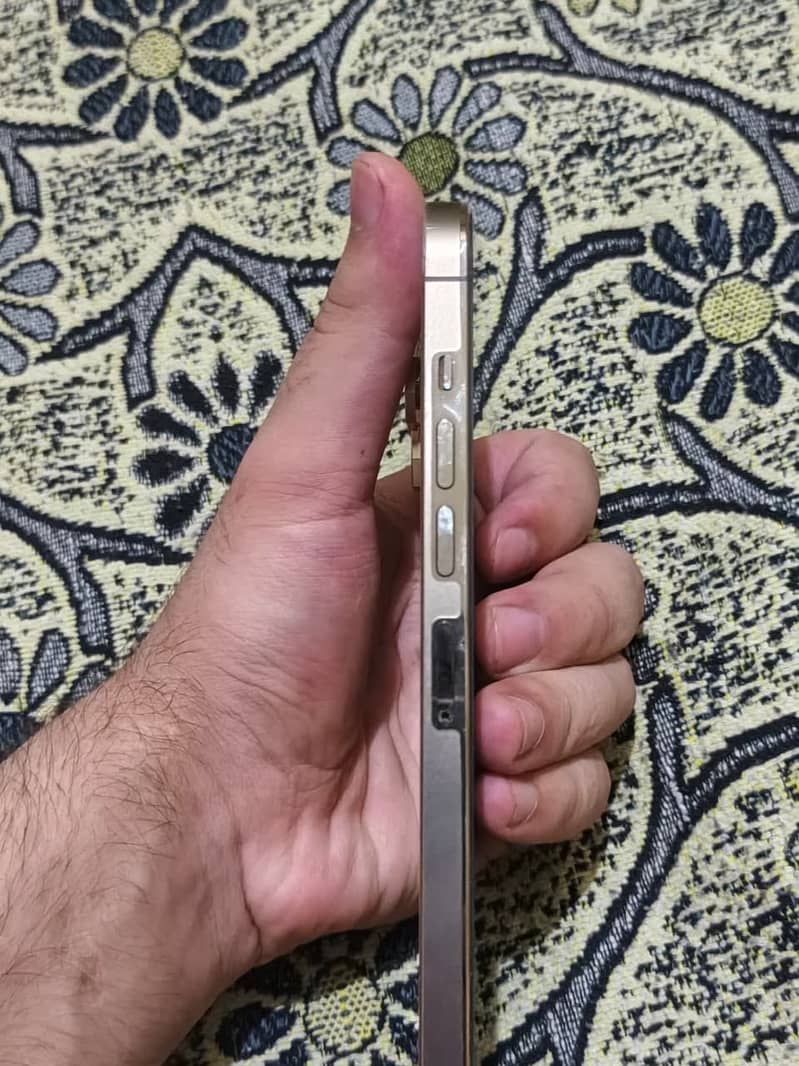 iPhone 13 Pro Max 1