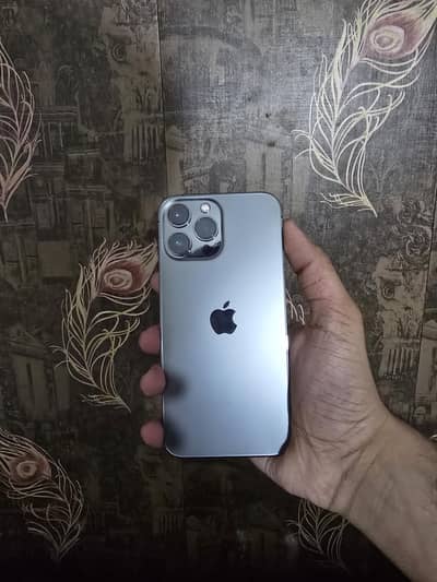 iPhone 13 Pro Max
