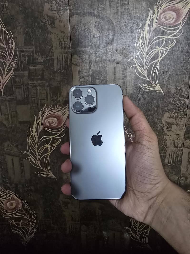 iPhone 13 Pro Max 0