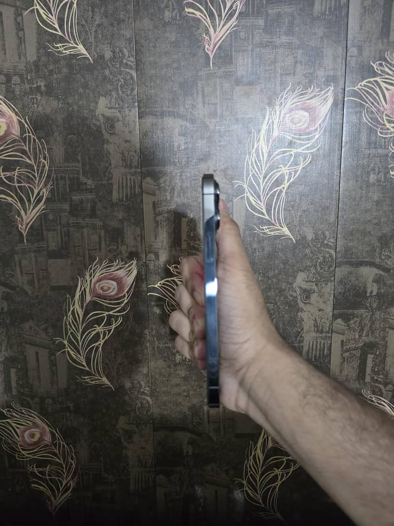 iPhone 13 Pro Max 1