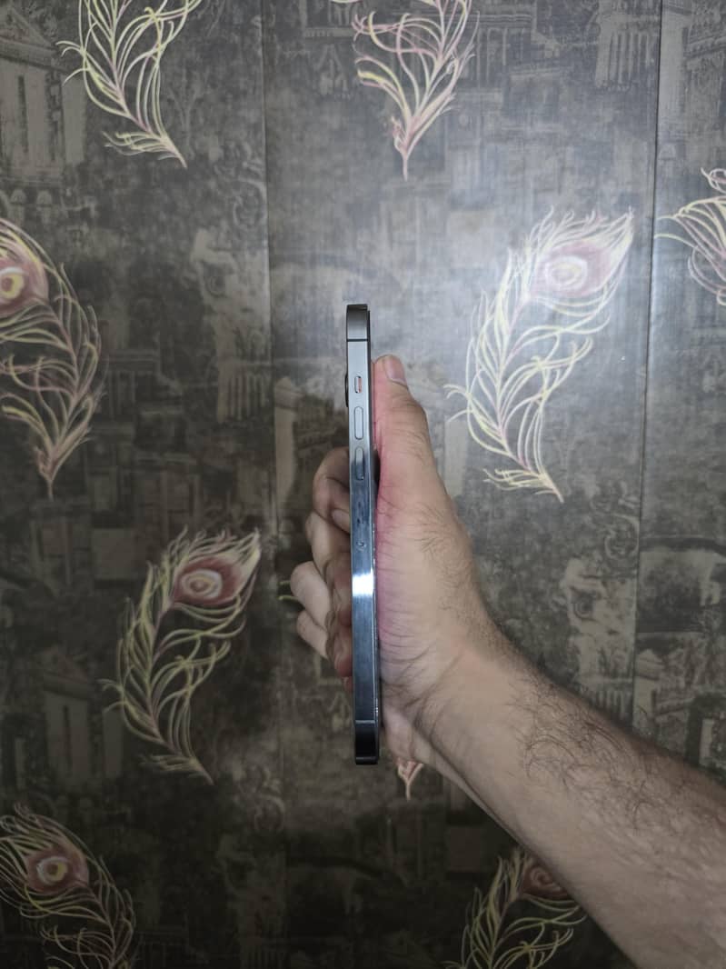 iPhone 13 Pro Max 2