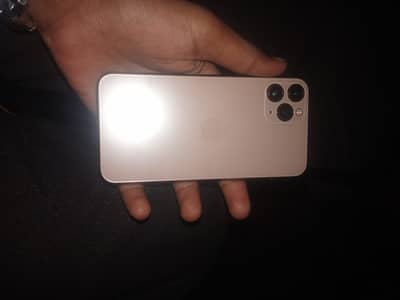Apple iPhone 11 Pro