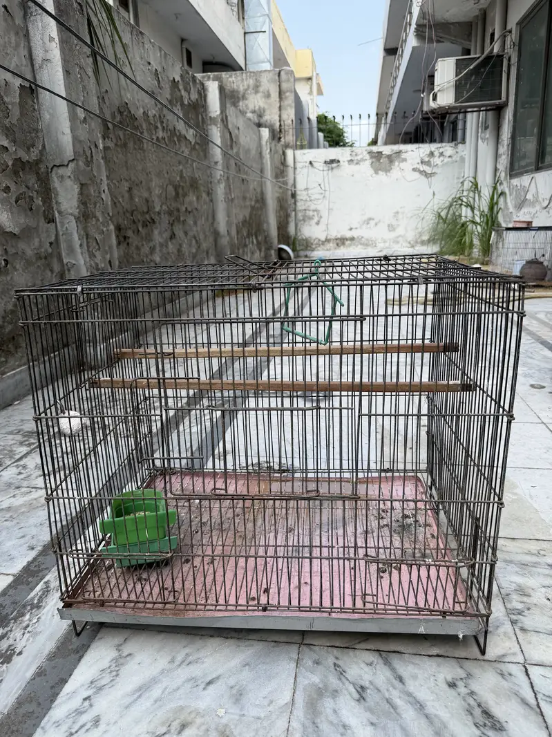 Zarar cages — photo 2