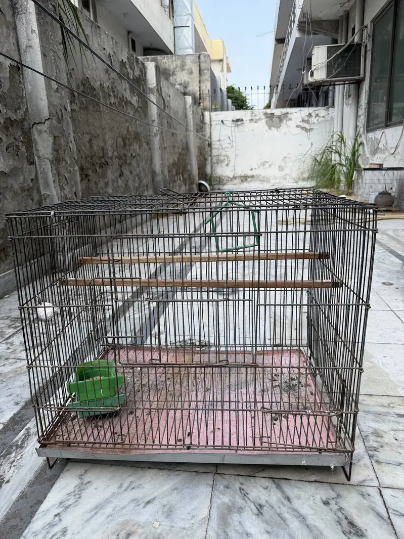 Zarar cages — photo 6