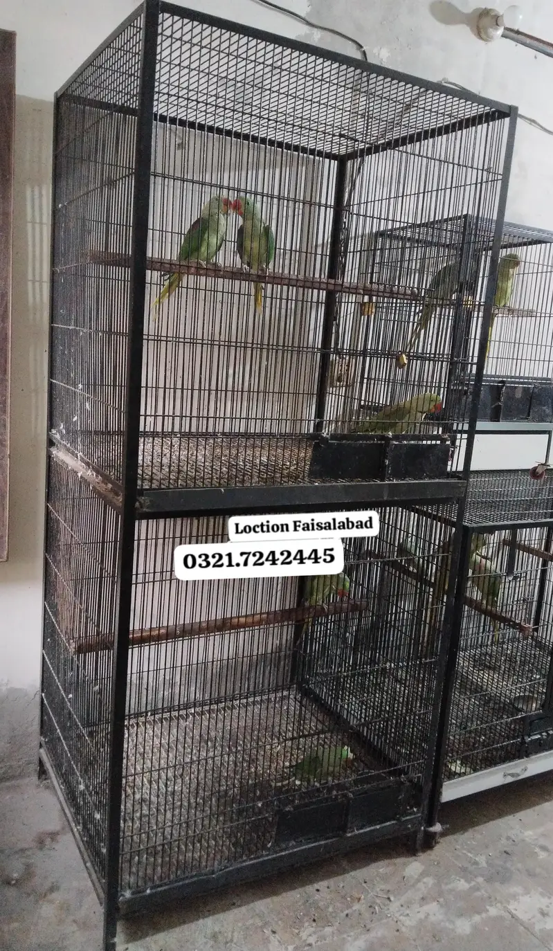 For sale/Raw/Cage — photo 2