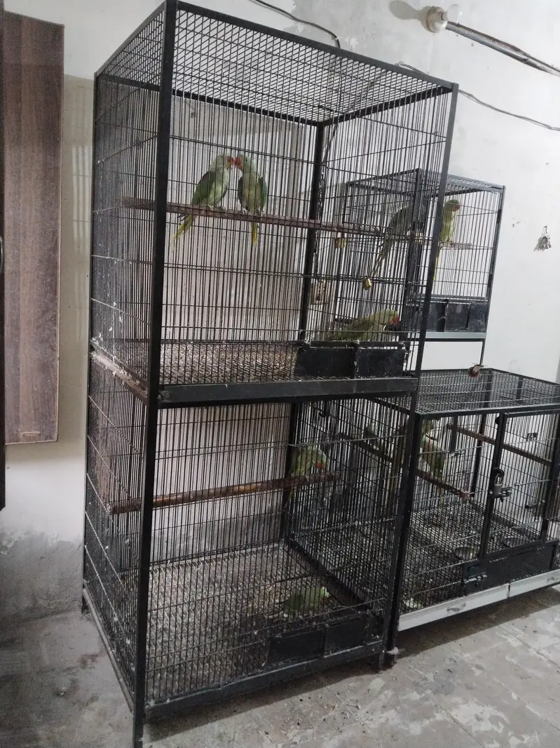 For sale/Raw/Cage — photo 3