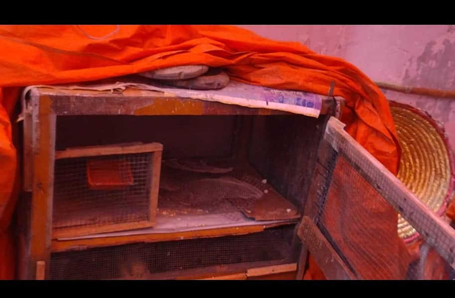 Hen cage 1