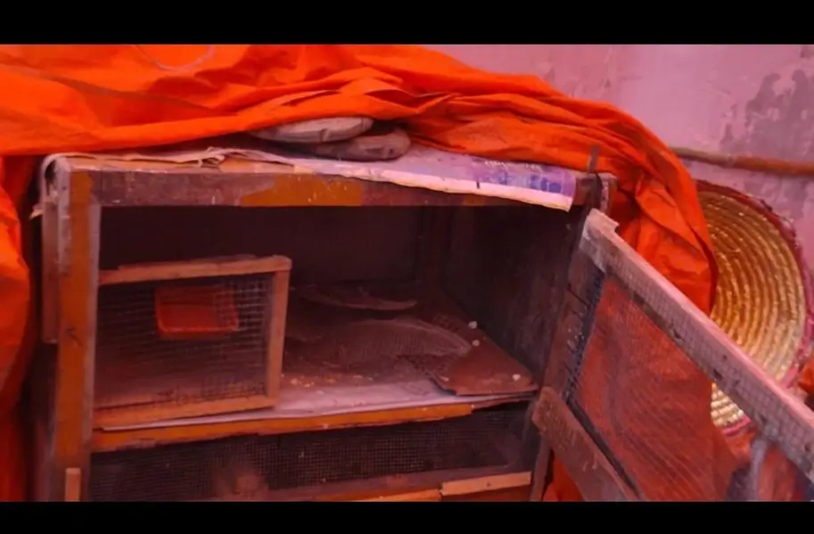 Hen cage — photo 2