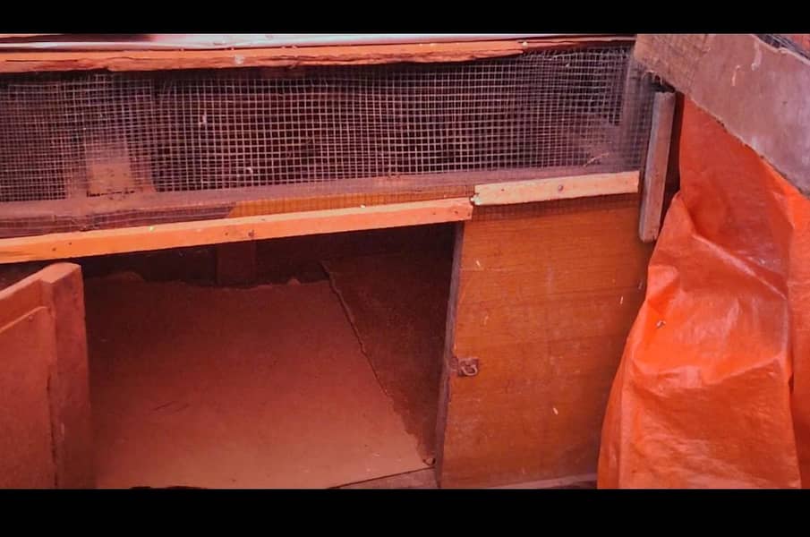 Hen cage 2