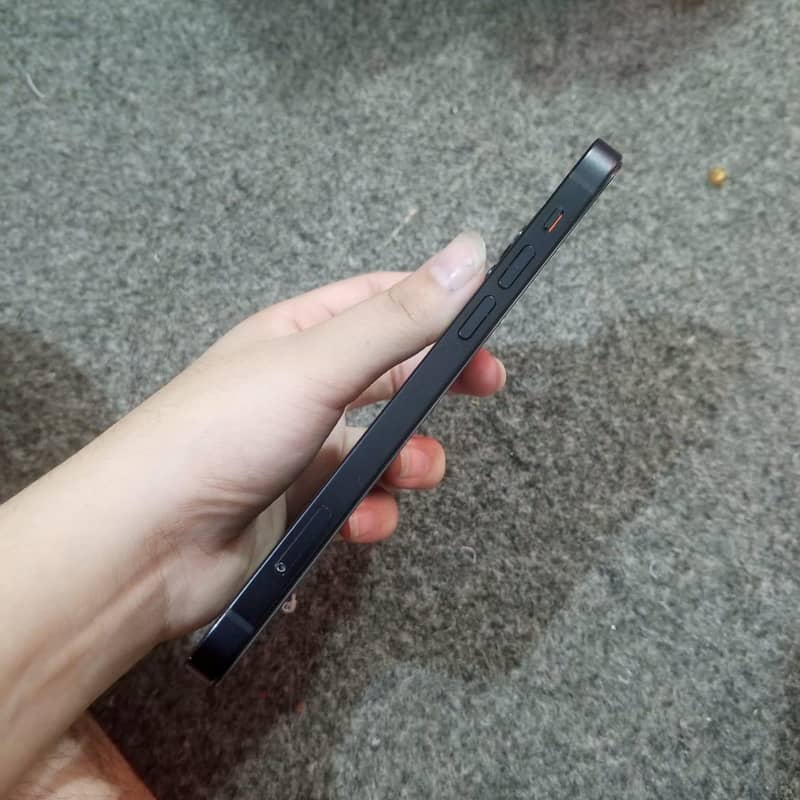 Apple iPhone 12 1