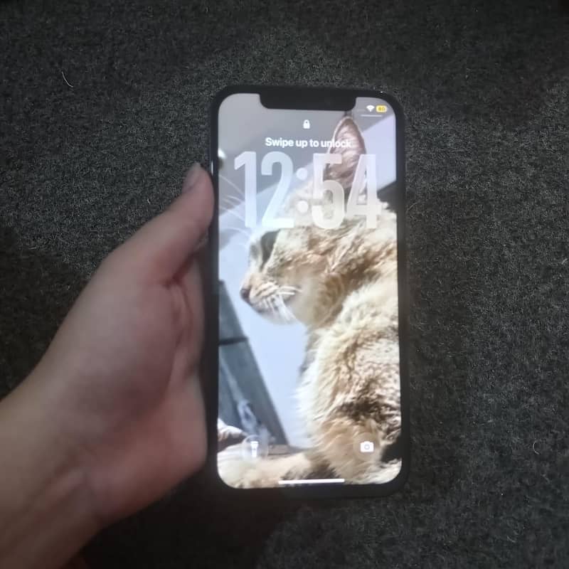 Apple iPhone 12 3