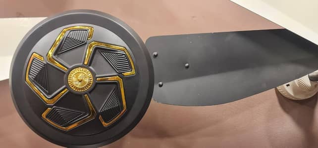 Premium Decorative AC/DC Ceiling Fan | Remote Control | 12V & 220V