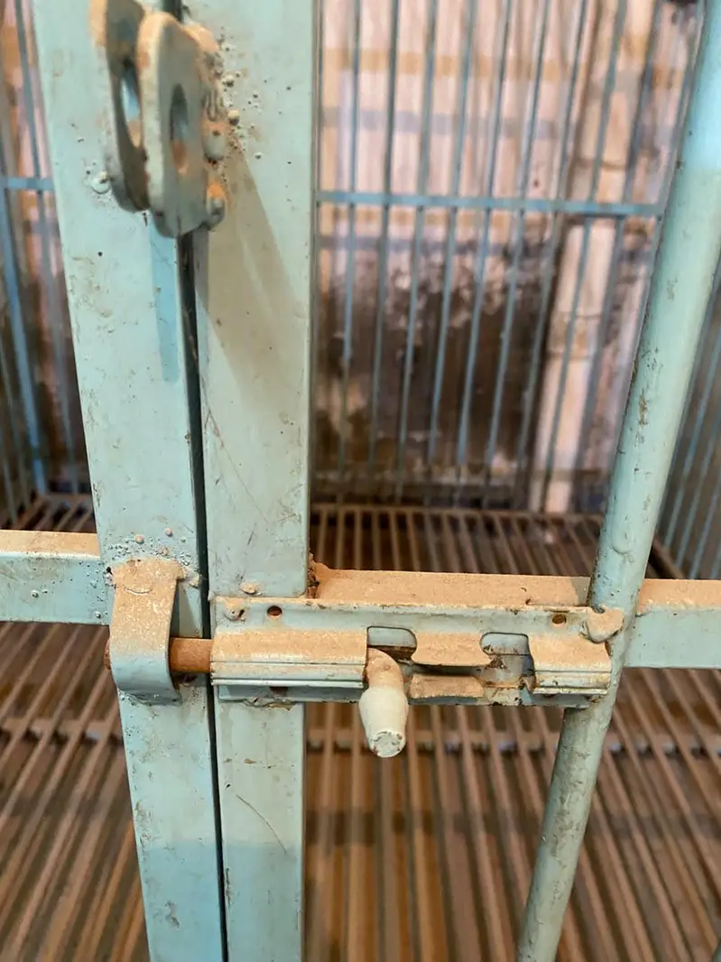 Dog CAGE — photo 3