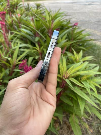 Apple iPhone 12 Pro Max