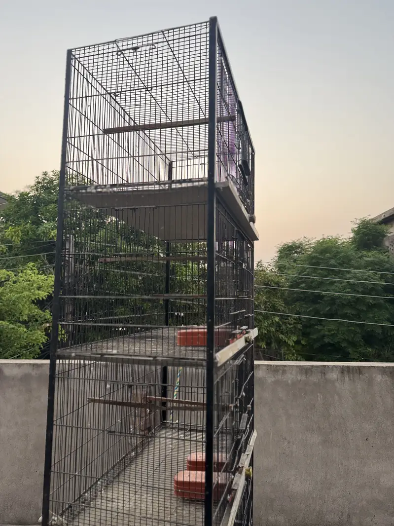 One season used spot welded cages are up for sale 9/10 condition — photo 5