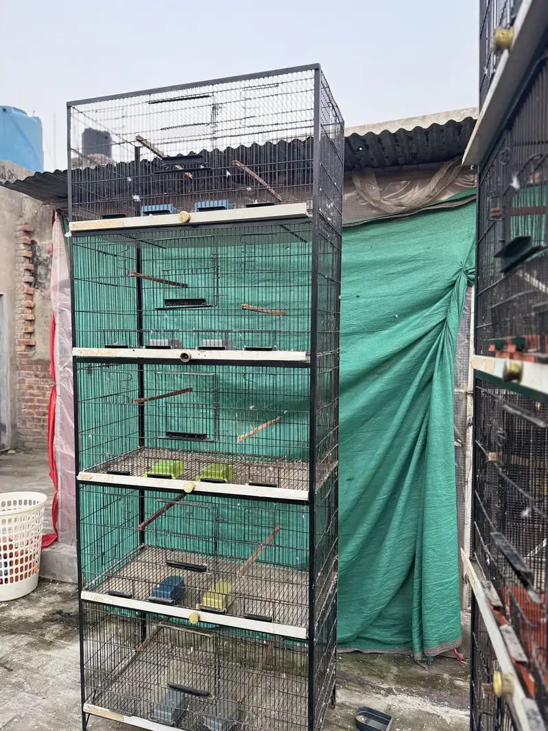 One season used spot welded cages are up for sale 9/10 condition — photo 6