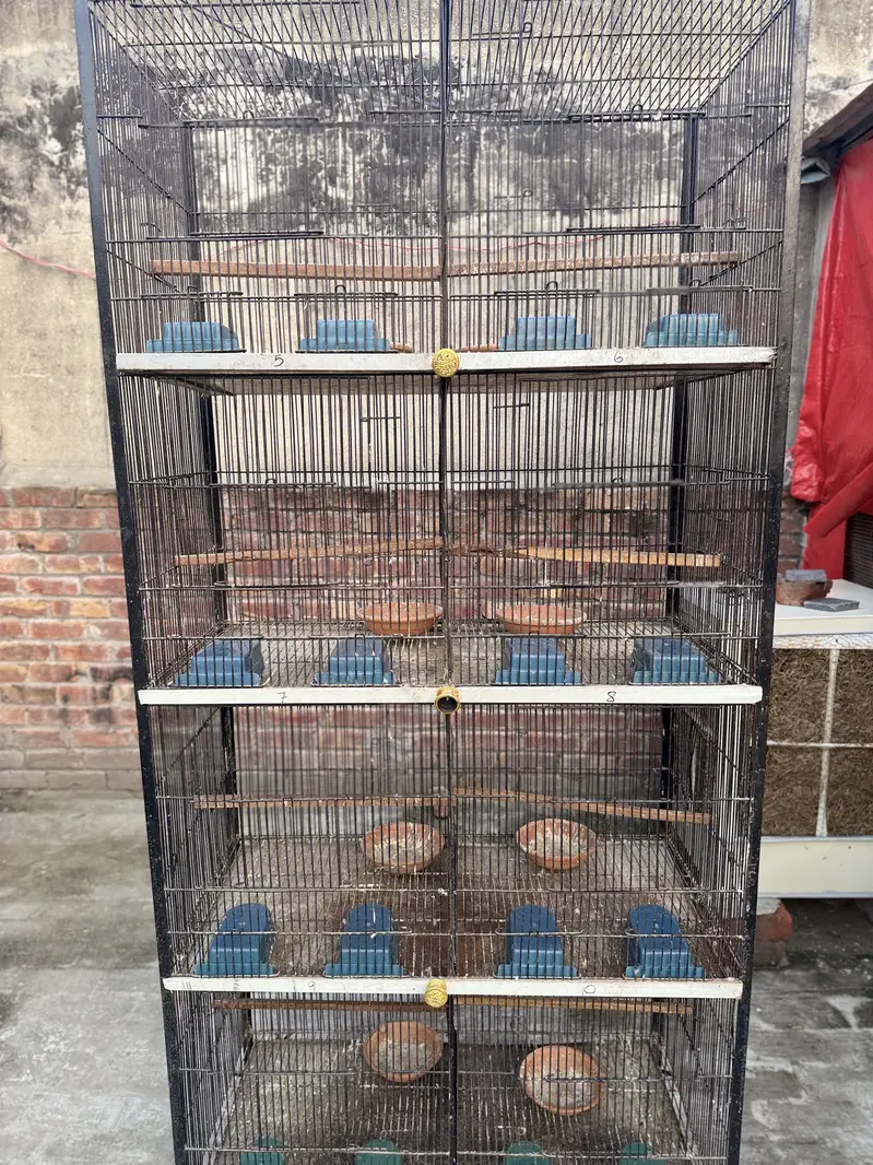 One season used spot welded cages are up for sale 9/10 condition — photo 8