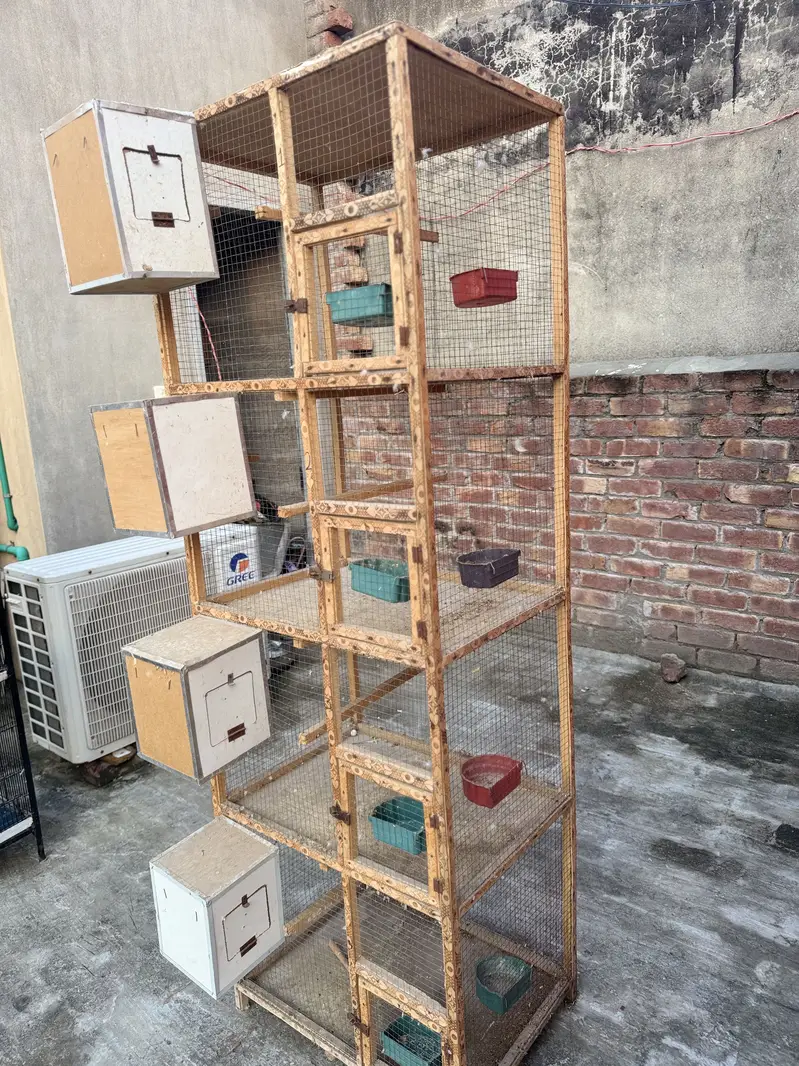 One season used spot welded cages are up for sale 9/10 condition — photo 10