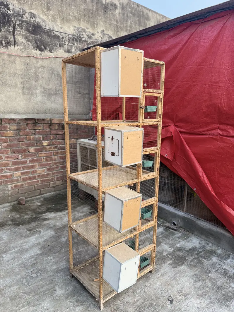 One season used spot welded cages are up for sale 9/10 condition — photo 11