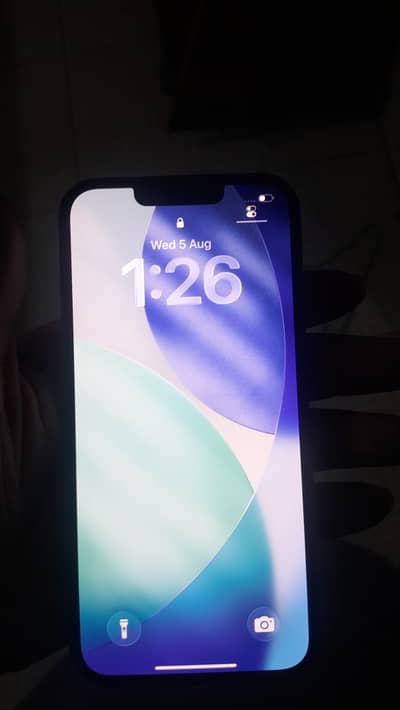 Apple iPhone 13
