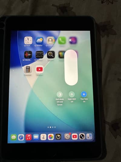 iPad mini 5