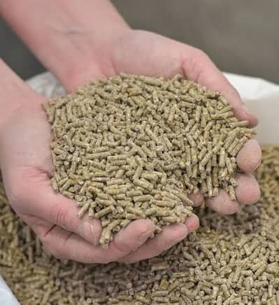 Chicken feed available