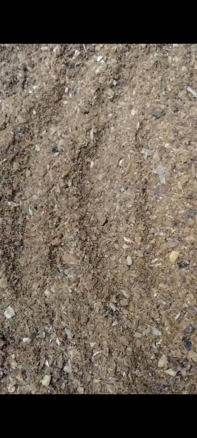 bone meal