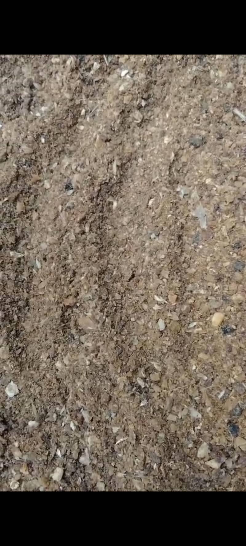 bone meal 0