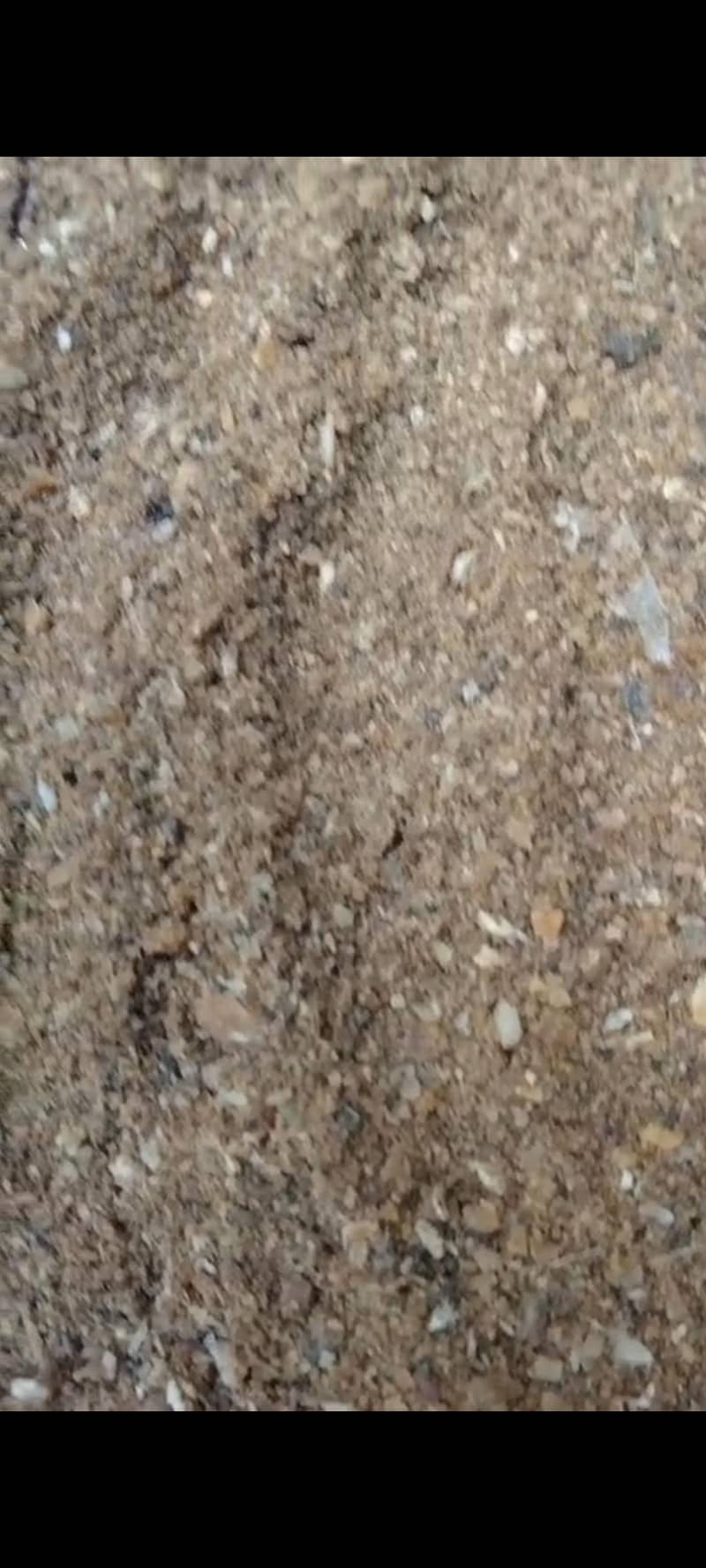 bone meal 2