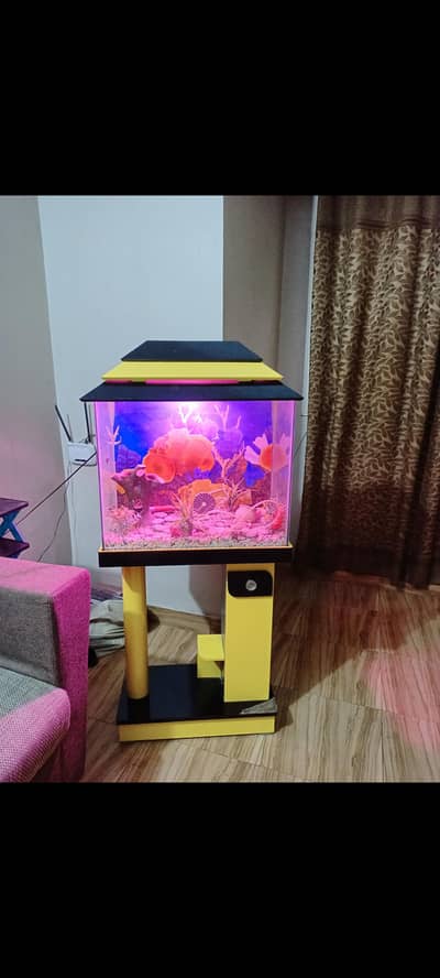 aquarium