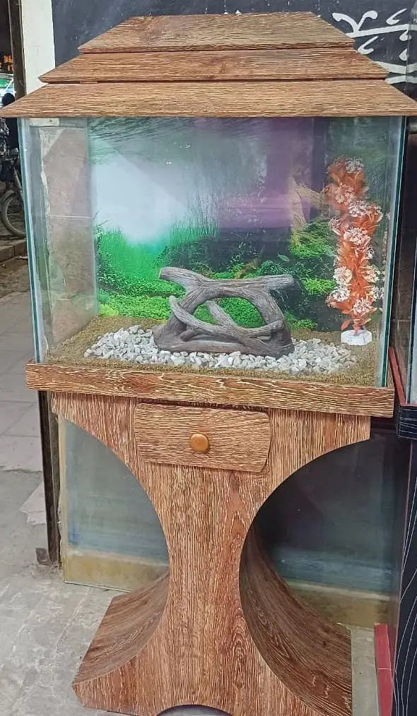 fish and aquarium very cheap price 03268301979 — photo 5