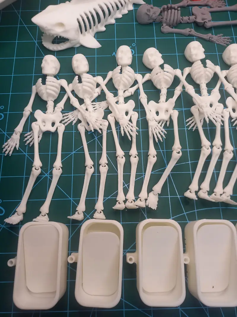 Decore Skeleton and Aquarium Caves — photo 2