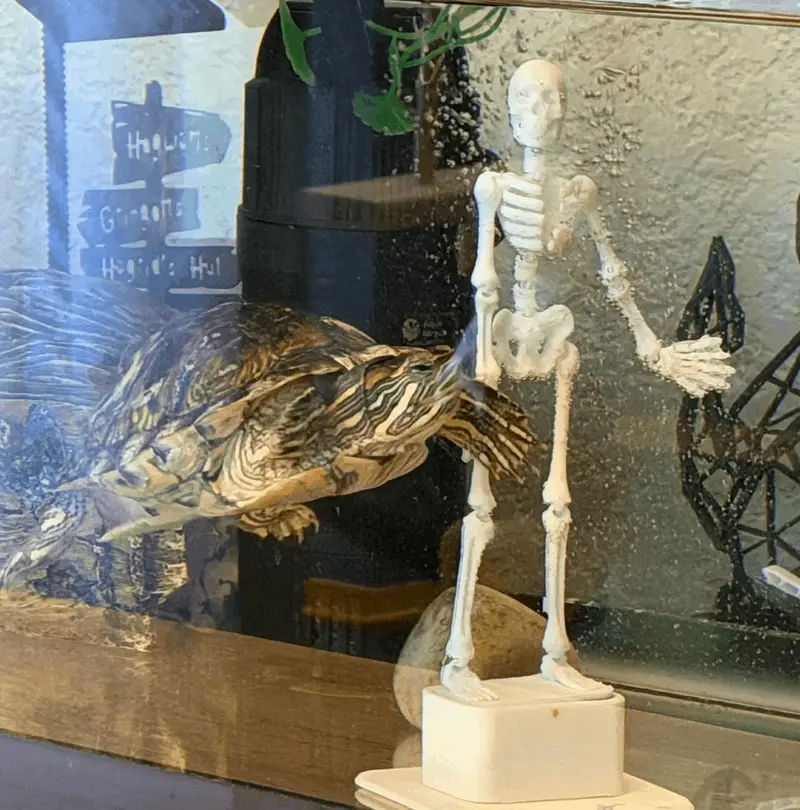 Decore Skeleton and Aquarium Caves — photo 3