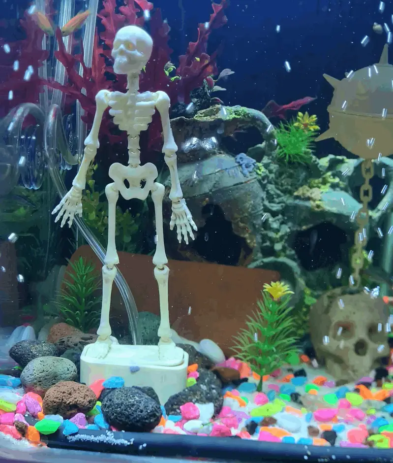 Decore Skeleton and Aquarium Caves — photo 4
