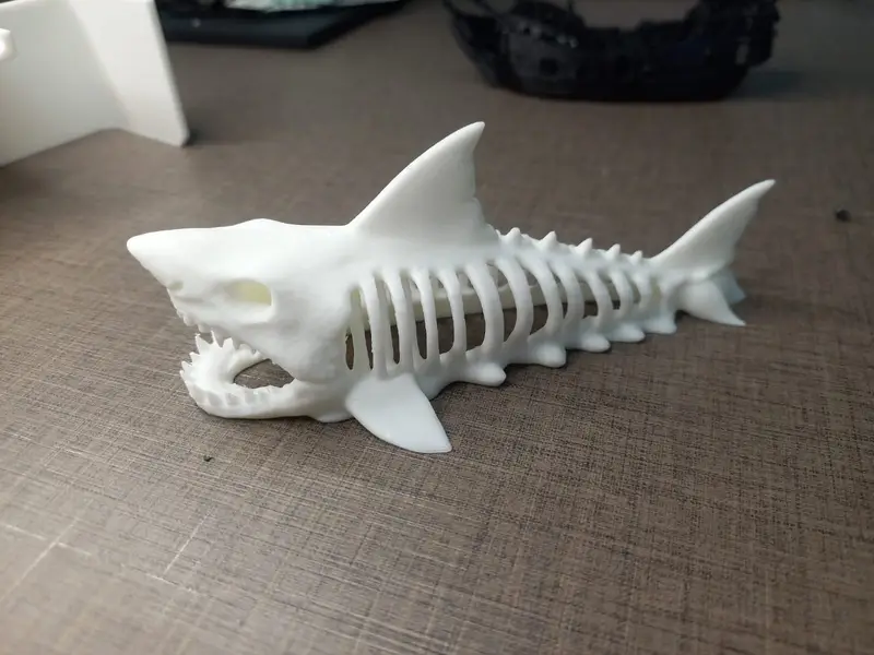 Decore Skeleton and Aquarium Caves — photo 7