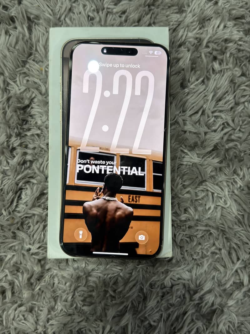 Apple iPhone 16 Pro Max 2