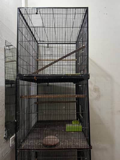 BIRD CAGES