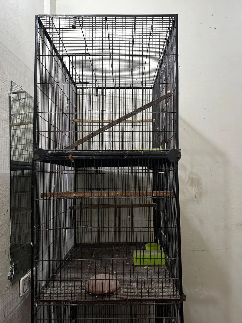 BIRD CAGES