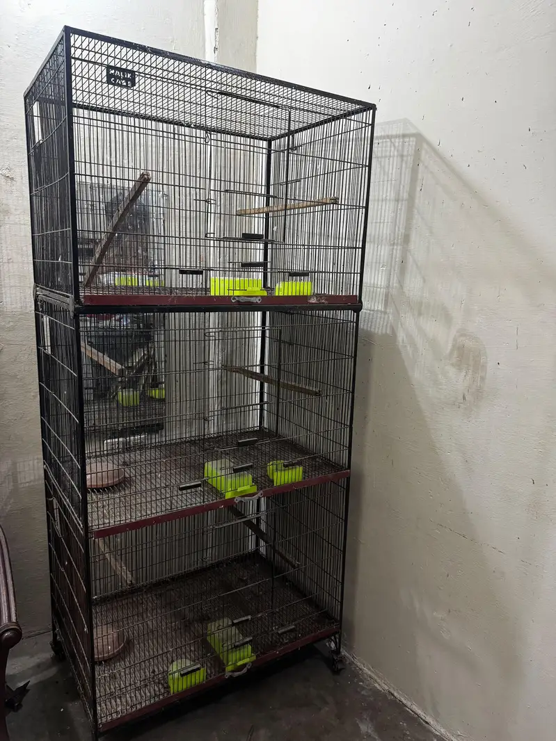 BIRD CAGES — photo 7