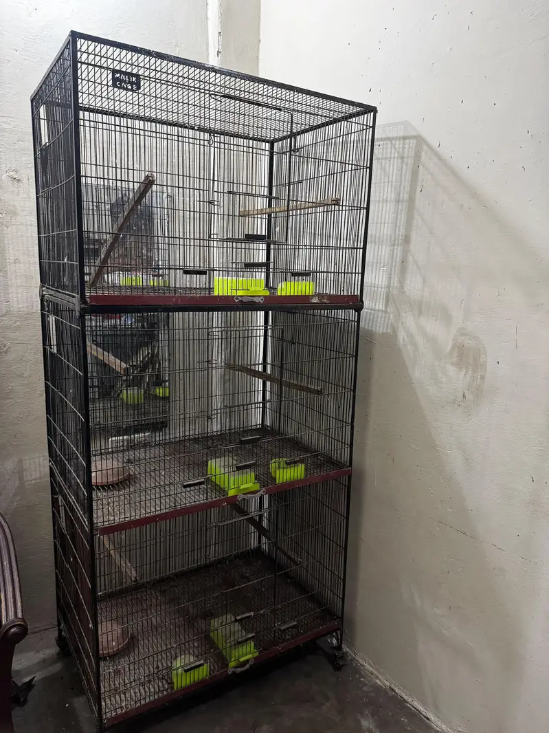 BIRD CAGES — photo 8