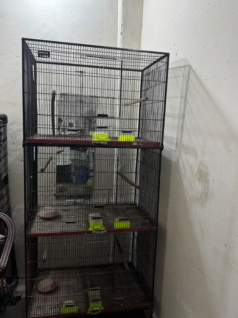 BIRD CAGES — photo 9