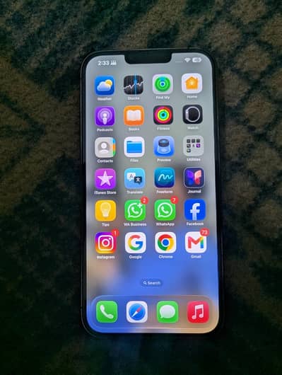 Apple iPhone 13 Pro Max