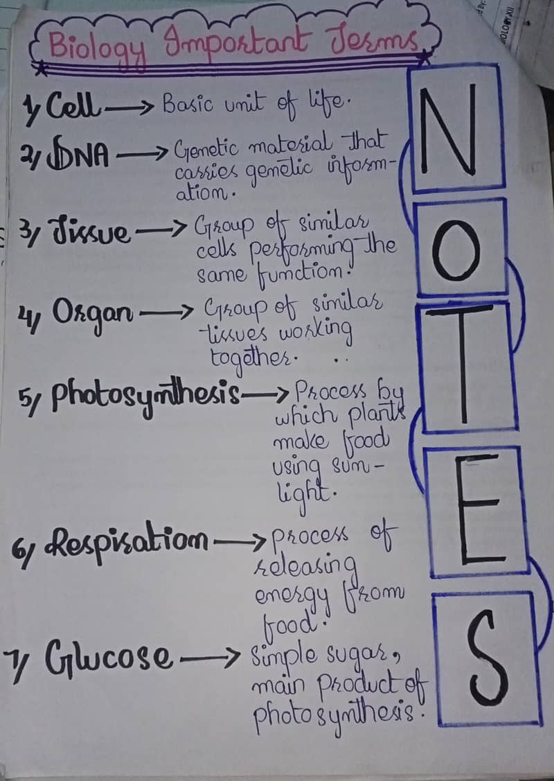 Handwriter 2