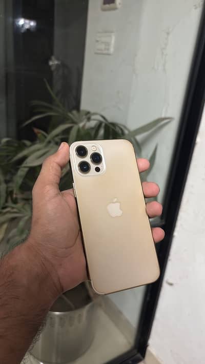 Apple iPhone 12 Pro Max Non Pta