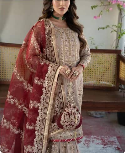 HASEENS DRESS