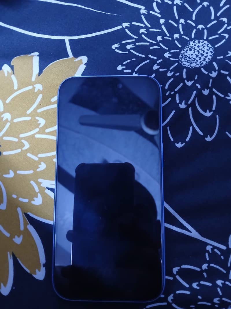 Apple iPhone 16 2