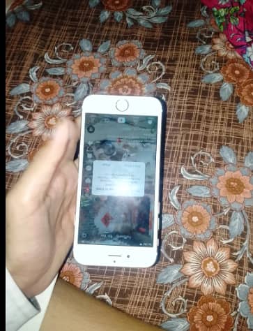 Apple iPhone 6