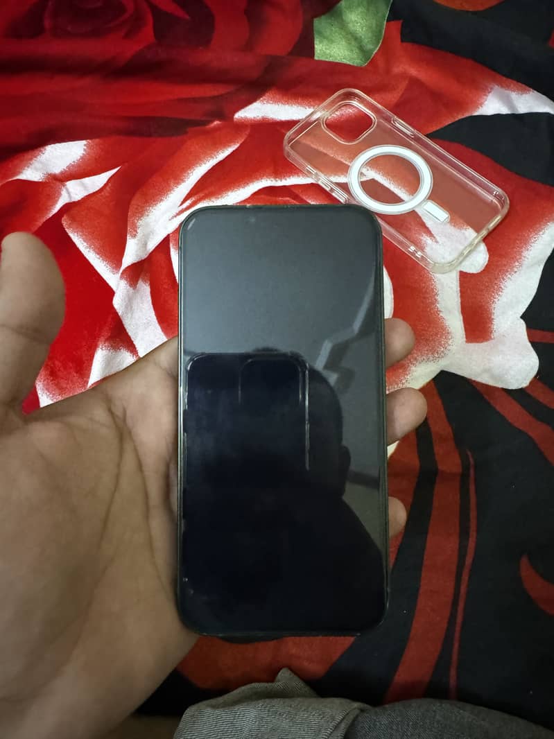 Apple iPhone 13 0