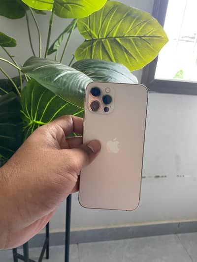 Apple iPhone 12 Pro